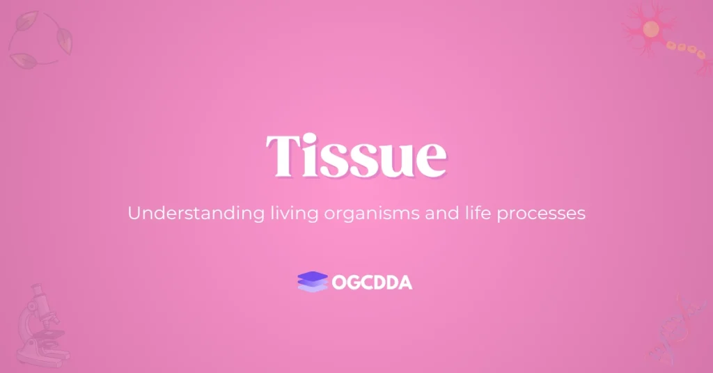Tissue