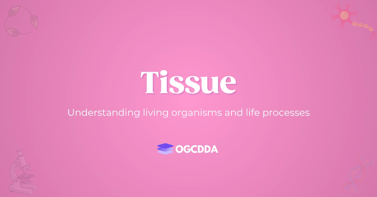 Tissue